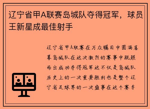 辽宁省甲A联赛岛城队夺得冠军，球员王新星成最佳射手